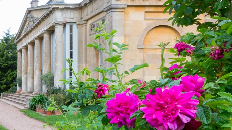 Summer roses in front of temple greenhouse at Croome